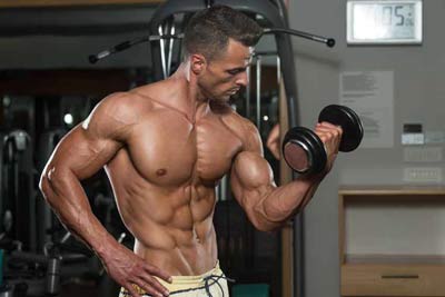 biceps